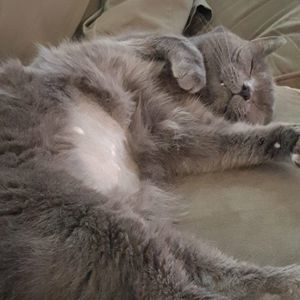 Meet your Posher, Jaimee